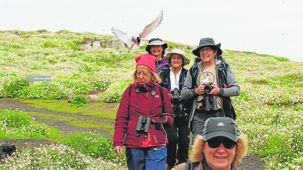 En Noruega la empresa SpainBirds se dedica al turismo de observación de aves