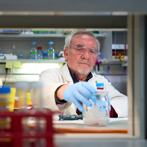 Trabajo impide bonificar a un investigador ya con un contrato fijo si no pasa antes tres meses en paro