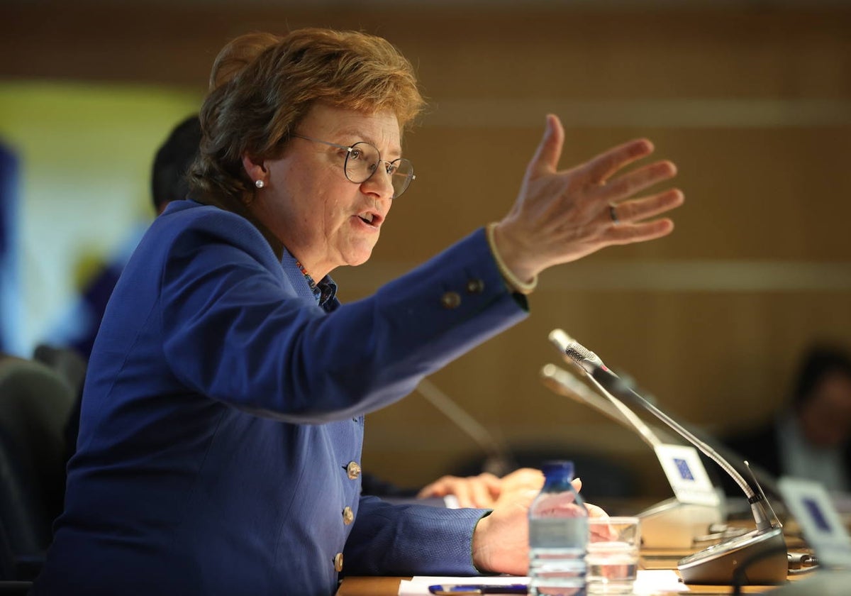 Monika Hohlmeier, jefa de la misión europea, en rueda de prensa