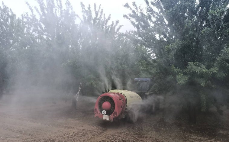 Imagen principal - Sobre estas líneas: izquierda, el investigador Enrique Niza y su equipo han diseñado una nanopartícula que protege a las plantas de enfermedades y,. derecha, pimiento tratado con nanopartículas de zinc para aumentar el valor nutricional del cultivo de Beyond Seeds