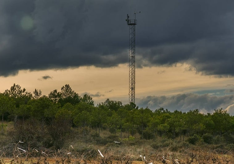 La conectividad sostenible: Las 'TowerCo' evitarán para 2030 la emisión de cuatro millones de toneladas de CO2