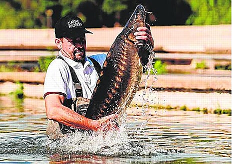 Imagen secundaria 1 - Arriba, vista panorámica de los viveros de Yesa (Navarra) que pertenecen a Caviar Pirinea, una empresa que cuenta con tres piscifactorías en los Pirineos para la producción sostenible de caviar y trucha arco iris. Sobre estas líneas, izquierda, un ejemplar de esturión de Caviar Riofrío y, derecha, instalaciones de Piscifactoría Río Mundo