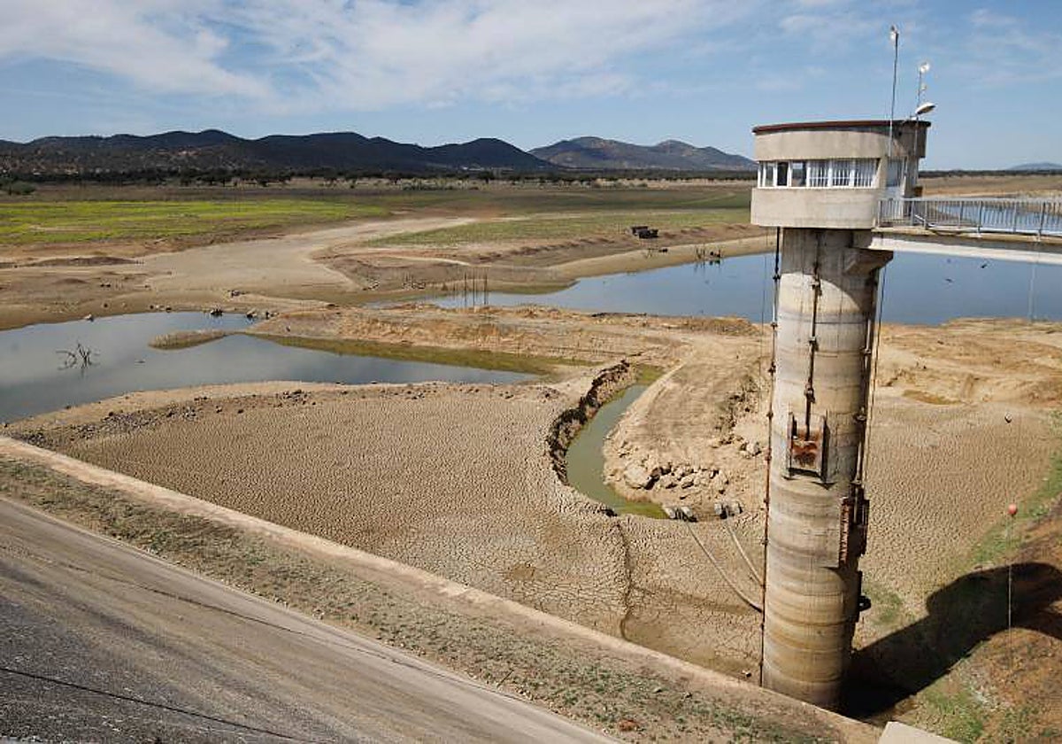 Un campo de Córdoba afectado por la sequía / Vídeo: El PP extremeño ve la rebaja del IRPF al campo «insuficiente»