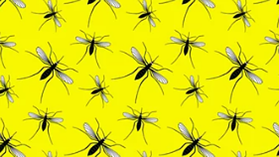 La innovación planta cara al ser vivo más letal del planeta, mostrando su expansión y modificación genética