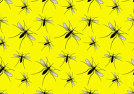 La innovación planta cara al ser vivo más letal del planeta, mostrando su expansión y modificación genética