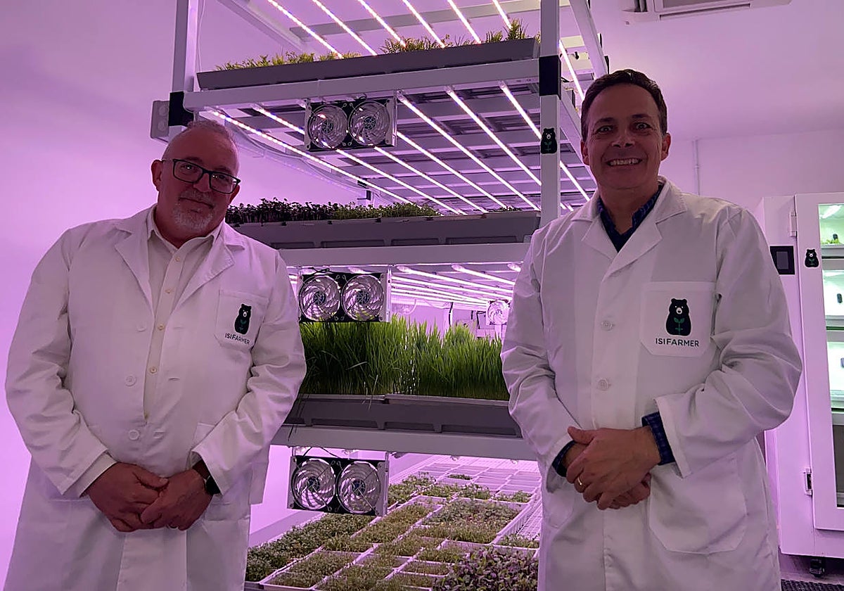 Ángel Leo-Revilla (izquierda) y Marcos Enríquez frente a un sistema hidropónico de agricultura vertical