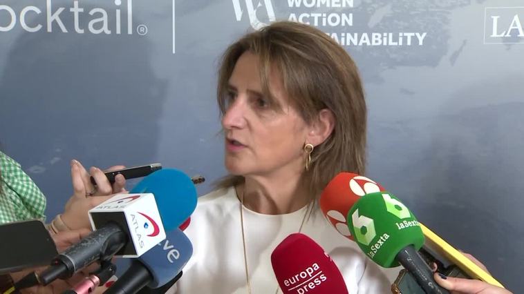 Gobierno valora ampliar plazos en hitos para desarrollar proyectos renovables