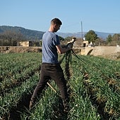 La contratación en el campo se reduce un 38% tras año y medio de reforma laboral