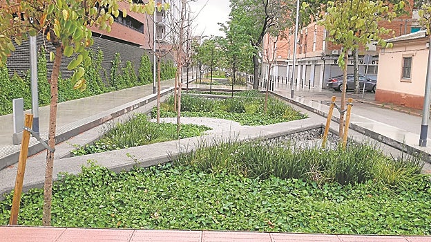 Los jardines de lluvia de las calles Biosca y Bellmunt en el barrio Bon Pastor de Barcelona son un ejemplo de soluciones basadas en la naturaleza instaladas por SUDS Atlantis