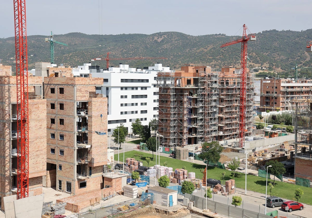 Bloques de viviendas en construcción en Córdoba