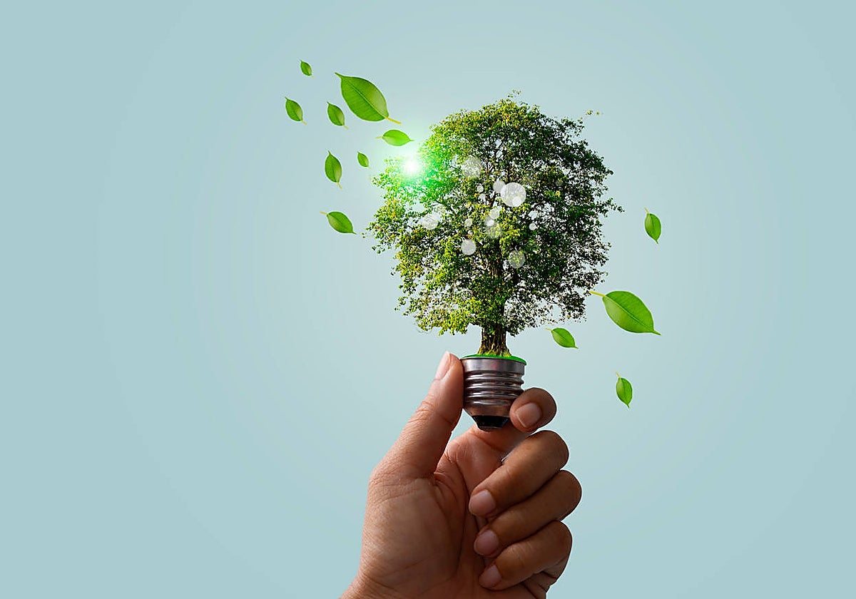 Los pasos adelante pendientes para sellar la revolución verde