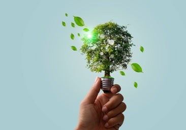 Los pasos adelante pendientes para sellar la revolución verde