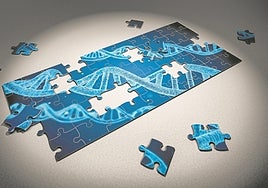 Bioinformáticos, los cerebros tecnológicos que dan una nueva vida a la ciencia