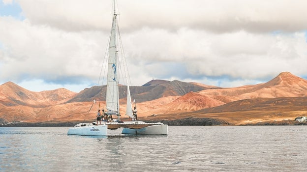 Primer catamarán eléctrico para avistamientos de la UE de WeWhale: observación silenciosa, responsable y no contaminante