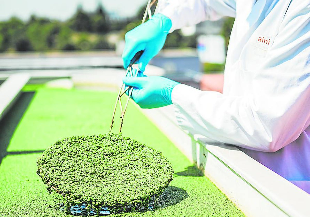 En AINIA aportan soluciones integrales de innovación