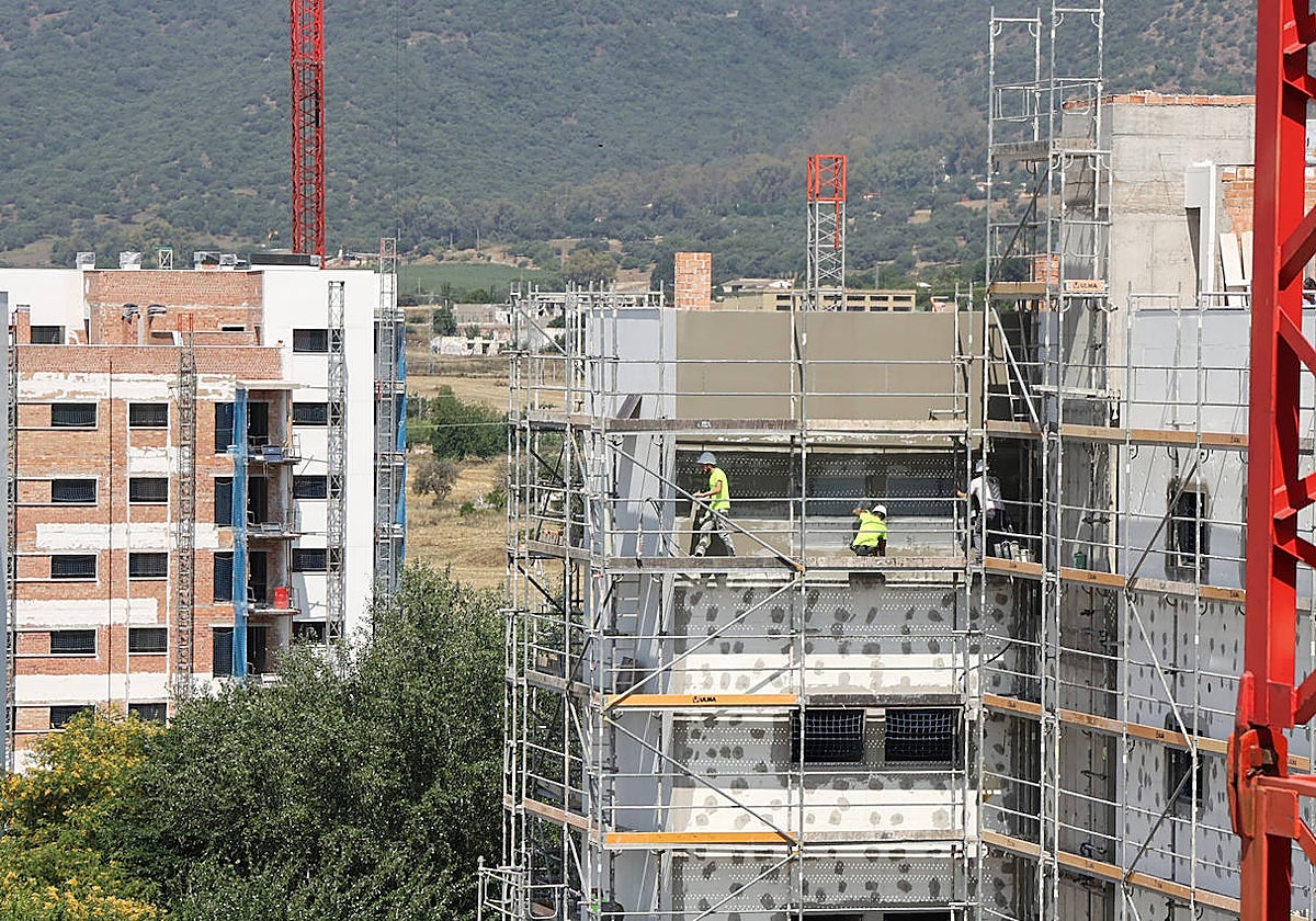 Las transacciones sobre pisos nuevos bajaron un 19,7%