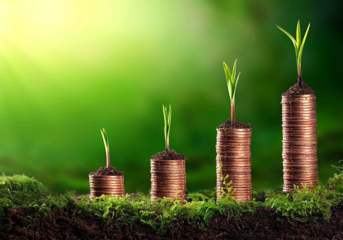 Cómo contribuir a los objetivos Net Zero con nuestras inversiones