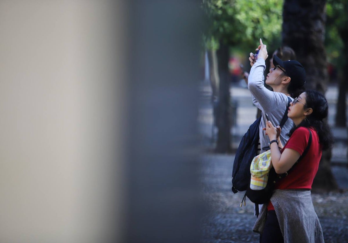 Turistas asiáticas toman fotografías