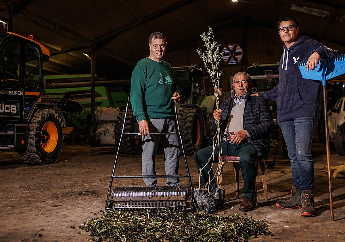 Ángel padre, Ángel hijo y Javier Domingo, que trabajan casi 300 hectáreas de olivar en Valdaracete