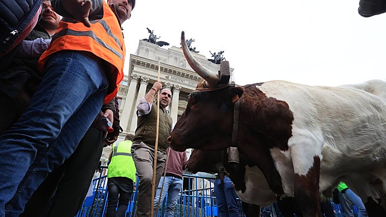 Los tractores colapsan Madrid: «De esta España los políticos nunca se acuerdan»
