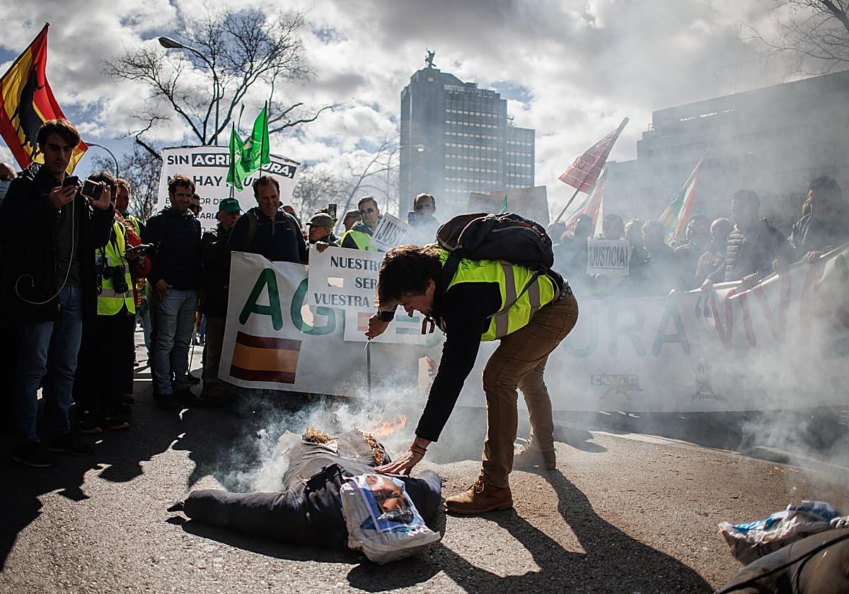 Un manifestante raja un muñeco de paja quemado y con la cara de Pedro Sánchez
