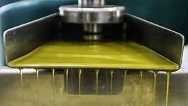 El aceite de oliva a precio de oro: por qué es más caro en España que en Australia