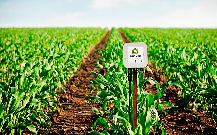 Imagen principal - Prismab nació en 2017 y desde entonces ha ahorrado 1.715.861 metros cúbicos de agua, el equivalente a 687 piscinas.