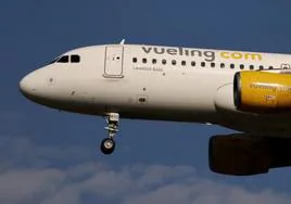 La Audiencia Nacional confirma una multa de 90.000 euros a Vueling por no tener una web accesible