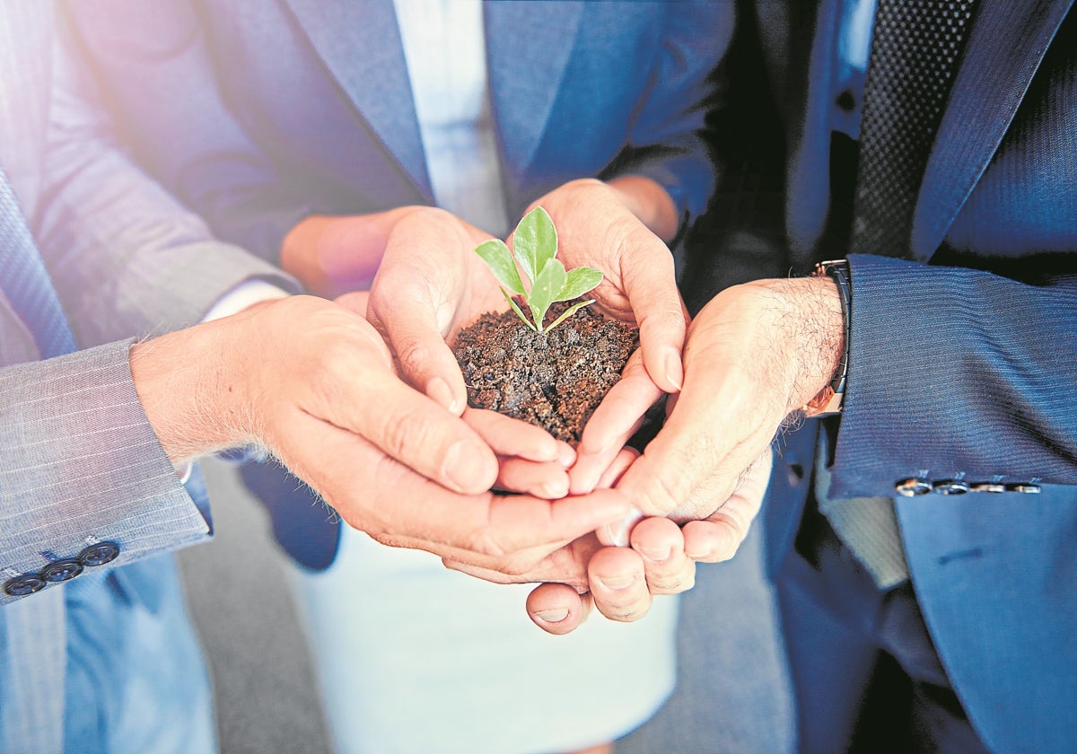 Recelos culturales, falta de incentivos y el déficit tecnológico son frenos que afrontan las compañías