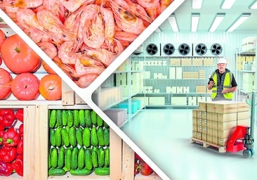 La compleja ruta verde de la logística del frío