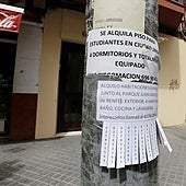 Los agujeros legales de las habitaciones compartidas