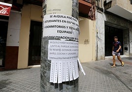 Los agujeros legales de las habitaciones compartidas