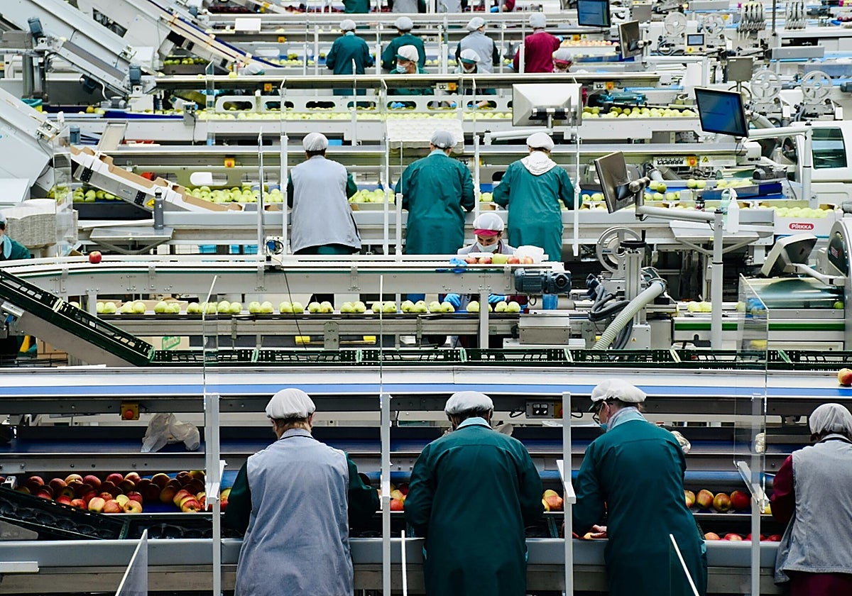 Varios trabajadores en una industria hortofrutícola