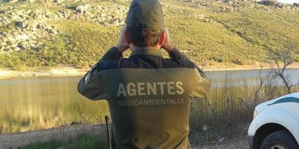 Cuánto dinero cobra un agente forestal en España: sueldo base y complementos