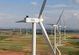 El Banco de España prevé una rebaja del 50% en el precio de la luz en 2030 si las renovables superan el 80% de la producción total