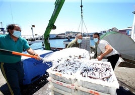 El Gobierno asigna la totalidad de los días de pesca para la flota de arrastre en el Mediterráneo