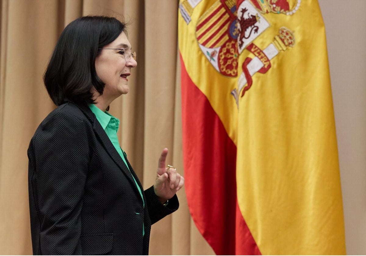 La presidenta de la CNMC, Cani Fernández, en el Congreso de los Diputados