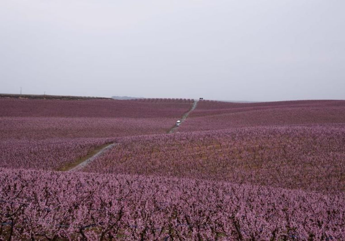 La hipoteca está desapareciendo como medio de financiación para agricultores