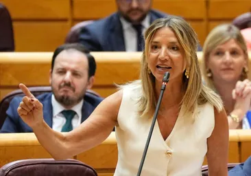 Ofensiva del PP en el Parlamento contra el control de viajeros: «Contraviene la norma europea»