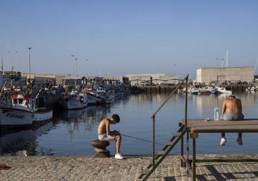 La Justicia europea tumba los acuerdos de agricultura y pesca entre la UE y Marruecos por ignorar a los saharauis