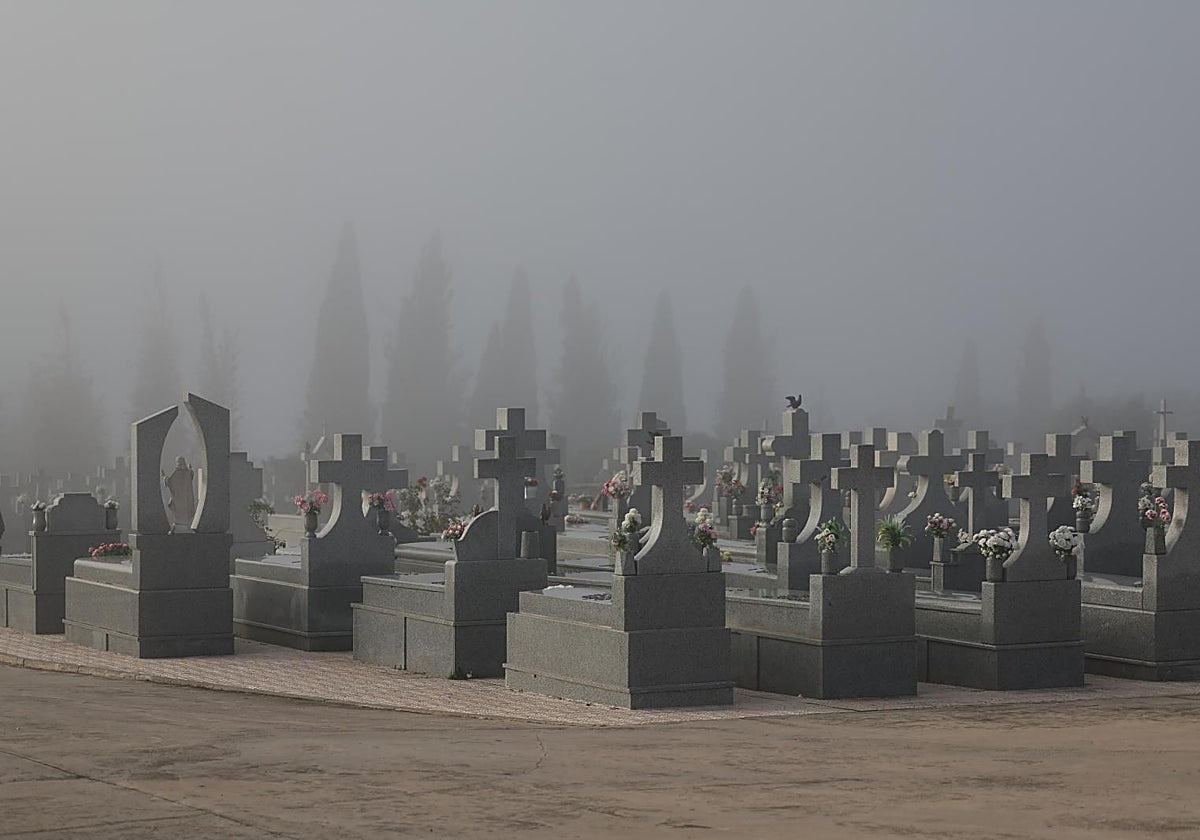 Vista del cementerio de Toledo