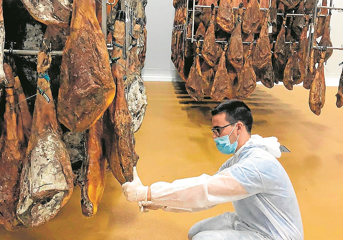 La Universidad de Córdoba ha aplicado técnicas de análisis molecular e IA en la lucha contar el fraude