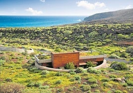 Una revolución arquitectónica con vistas a la naturaleza