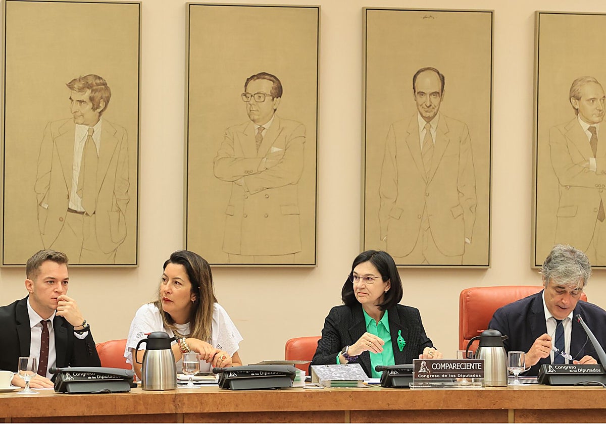 La presidenta de la CNMC comparece en la Comisión de Economía, Comercio y Transformación Digital.