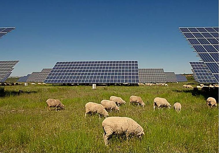 Hablan los afectados por los impagos de arbitrajes a las renovables: «Todos creímos que España era un país serio»