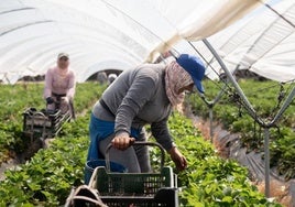 País Vasco, Madrid y Navarra, las únicas comunidades que alcanzan la productividad de la UE