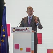 Imagen - «La Cámara de España se ha convertido en una institución estratégica para la puesta en marcha de proyectos que crean valor añadido»
