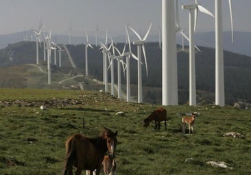 Hacienda defenderá la veintena de impuestos que encarecen la luz