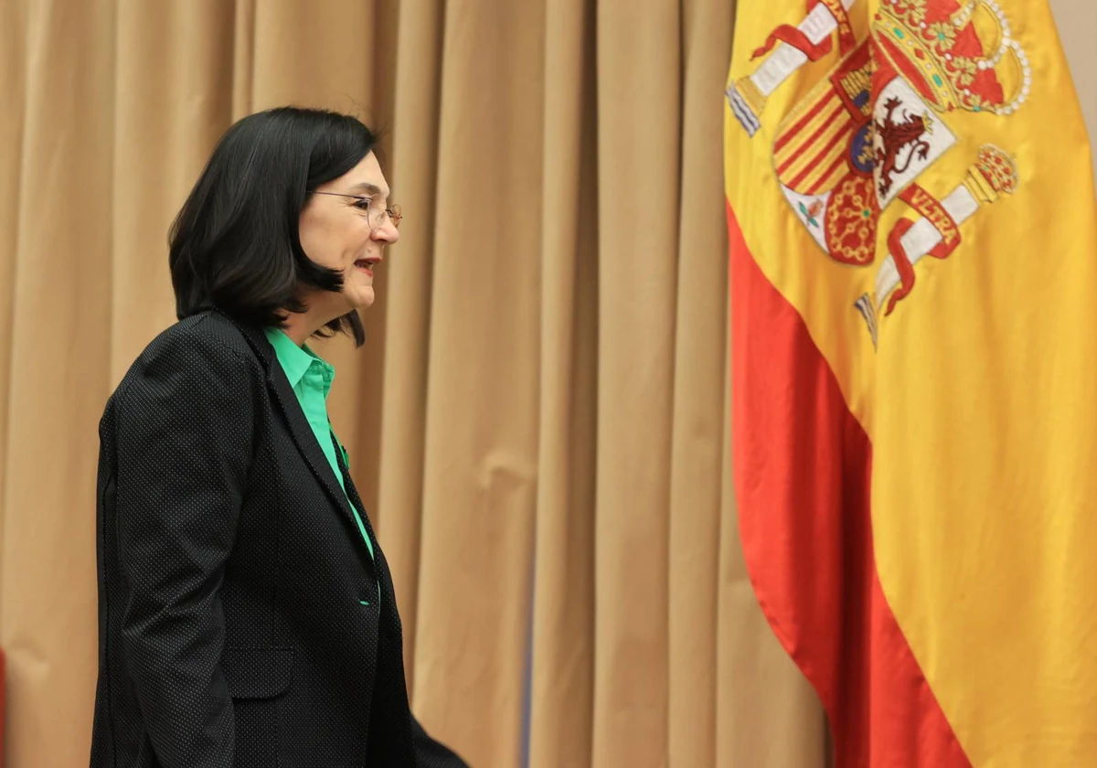 Cani Fernández, presidenta de la CNMC