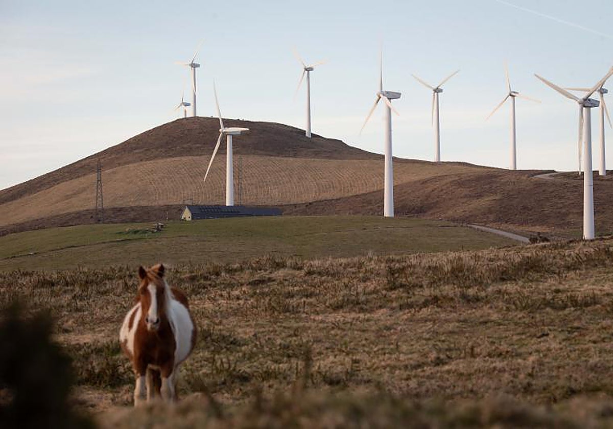 La eólica necesita más ritmo